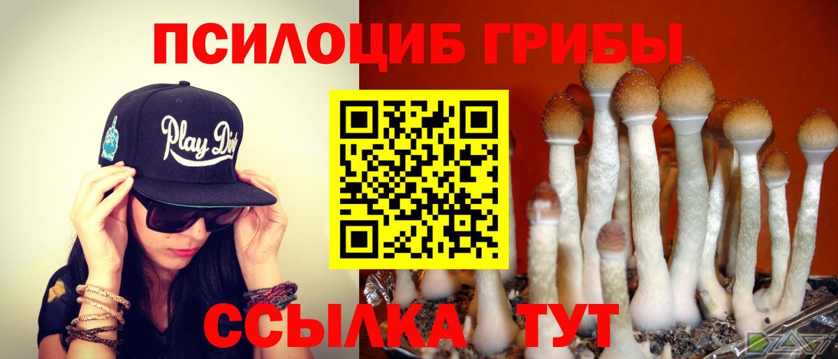 Галлюциногенные грибы GOLDEN TEACHER  Вход с VPN  Мытищи  Галлюциногенные грибы мухоморы 